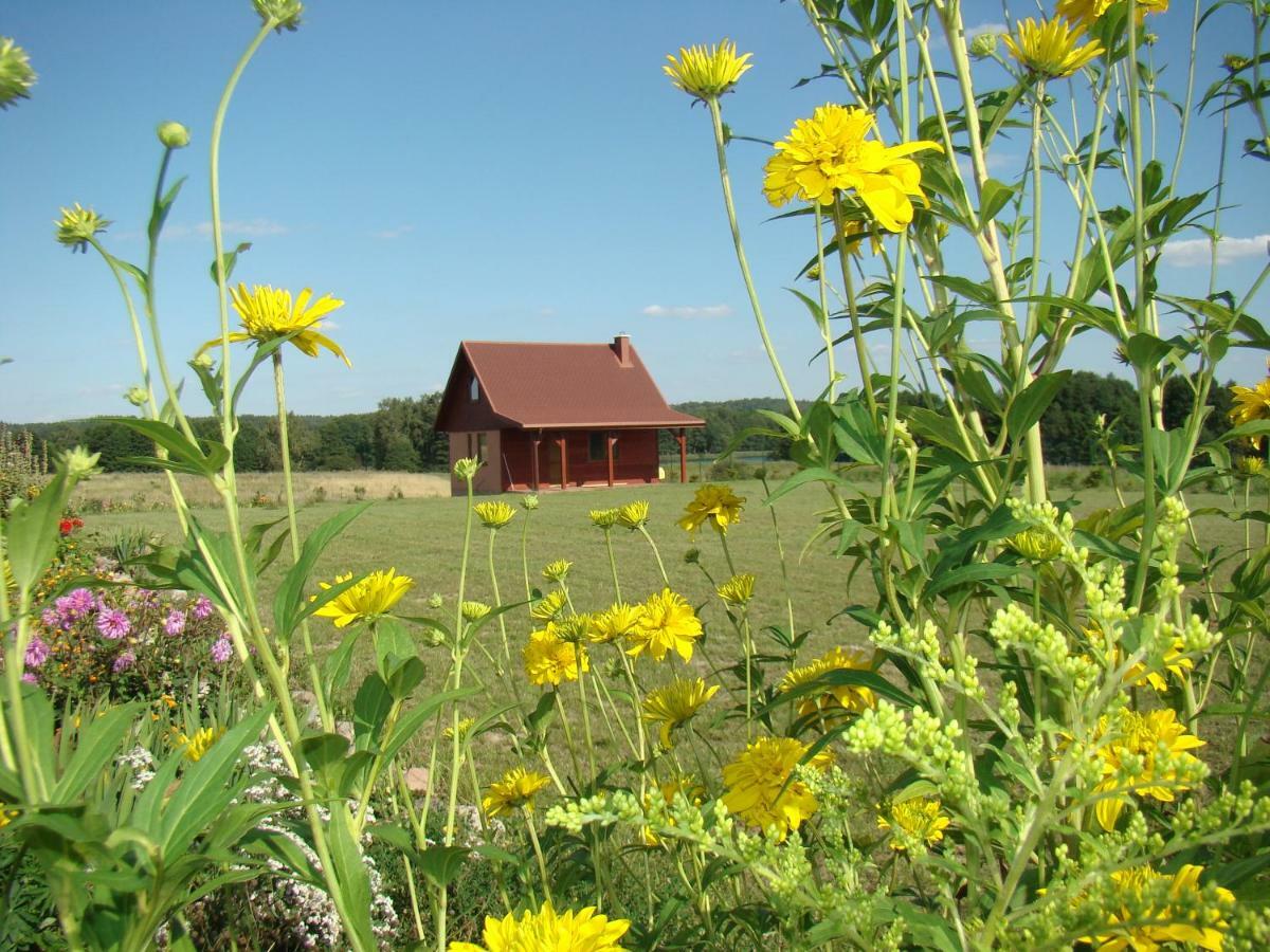 Zagroda Warminska Pszczola * Purda