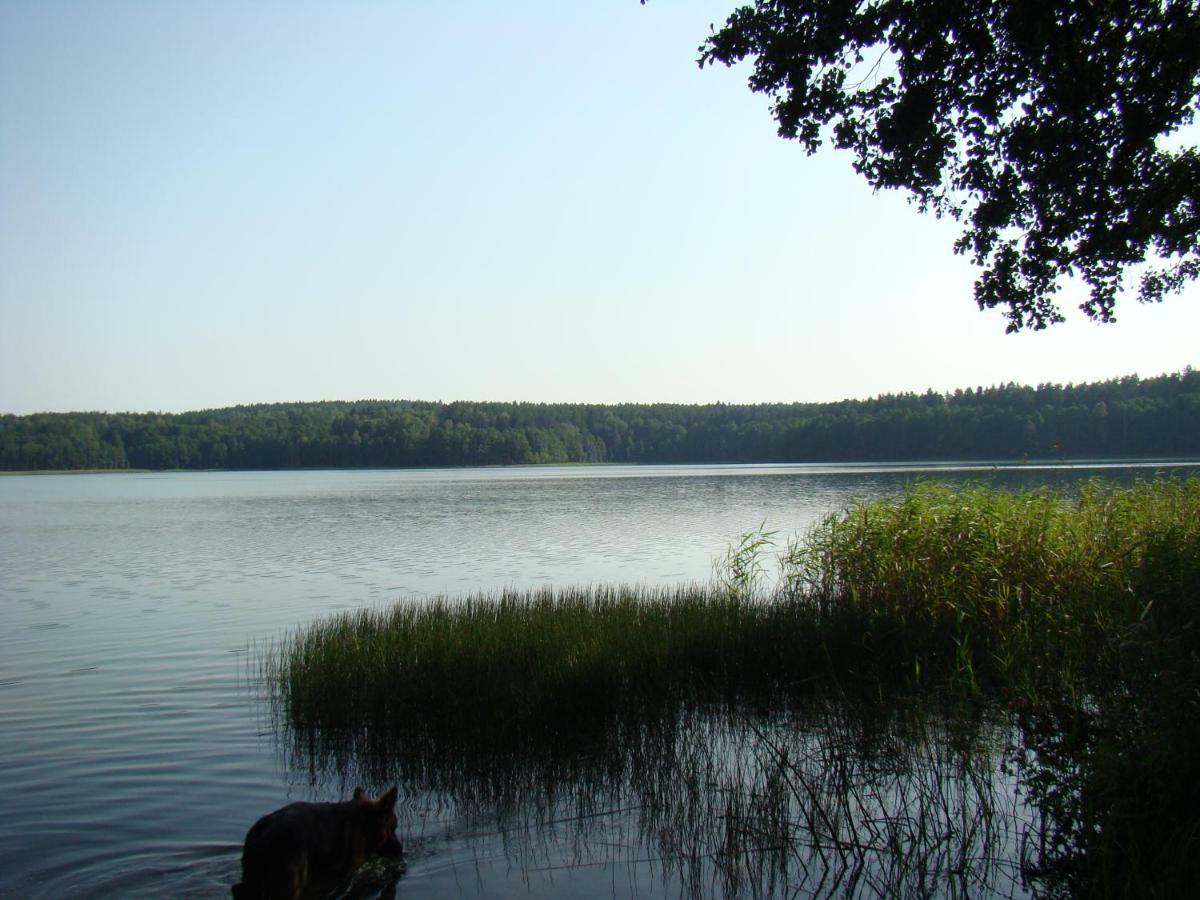 Zagroda Warminska Pszczola