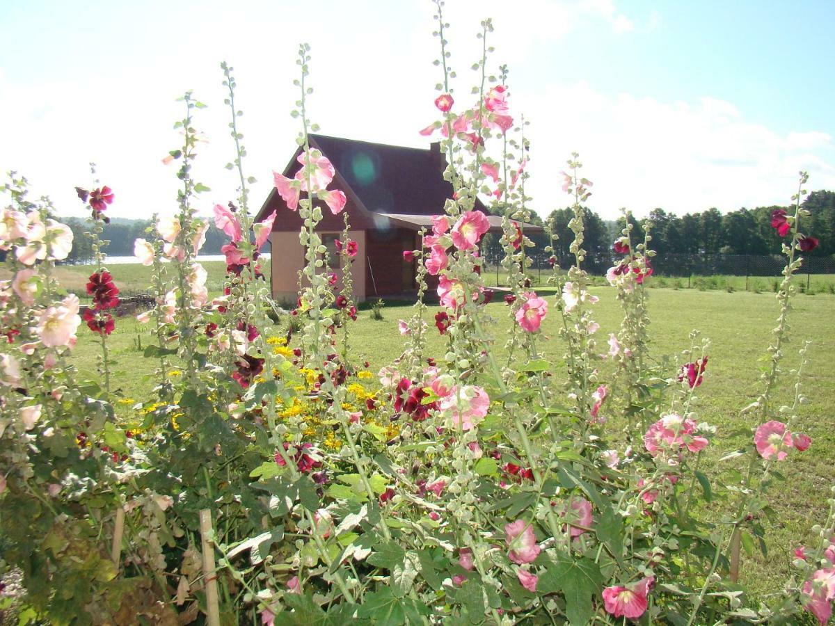 Holiday home Zagroda Warminska Pszczola Purda