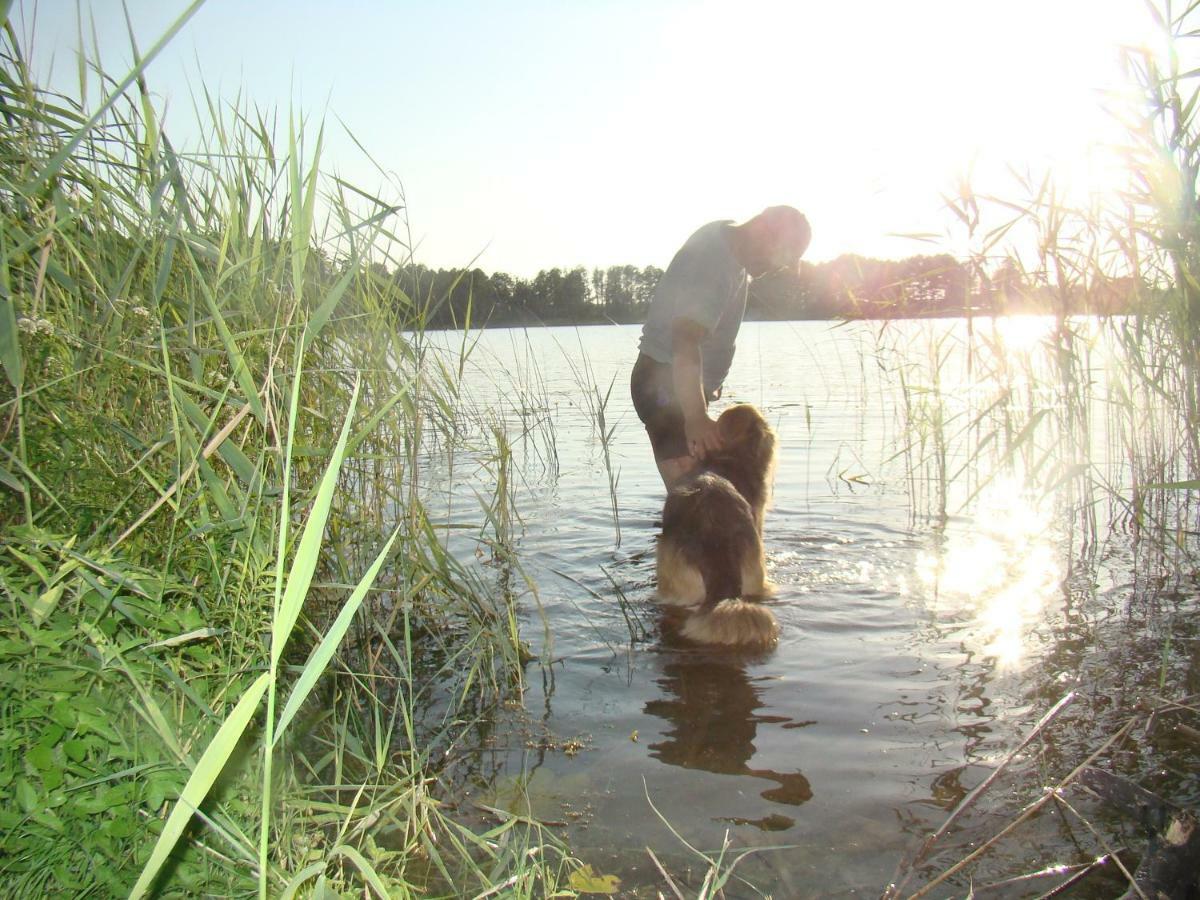 Zagroda Warminska Pszczola Purda