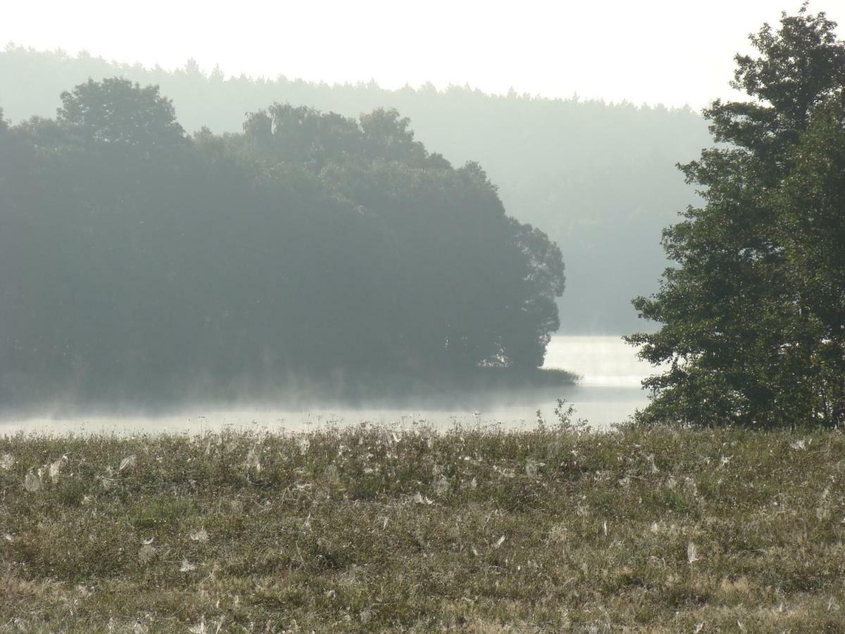 Zagroda Warminska Pszczola * Purda