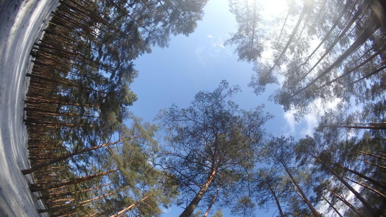Zagroda Warminska Pszczola *