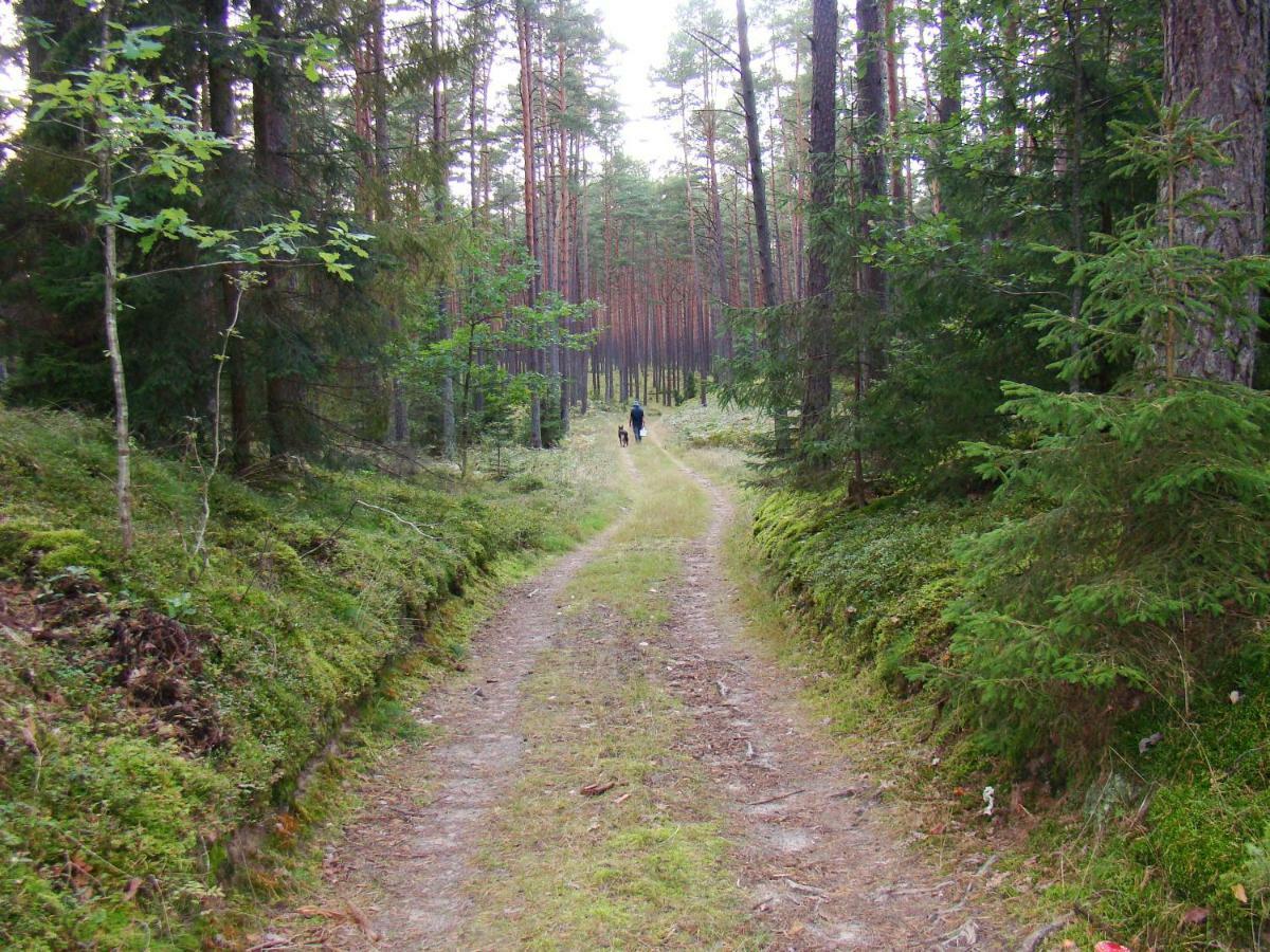 Zagroda Warminska Pszczola Holiday home *