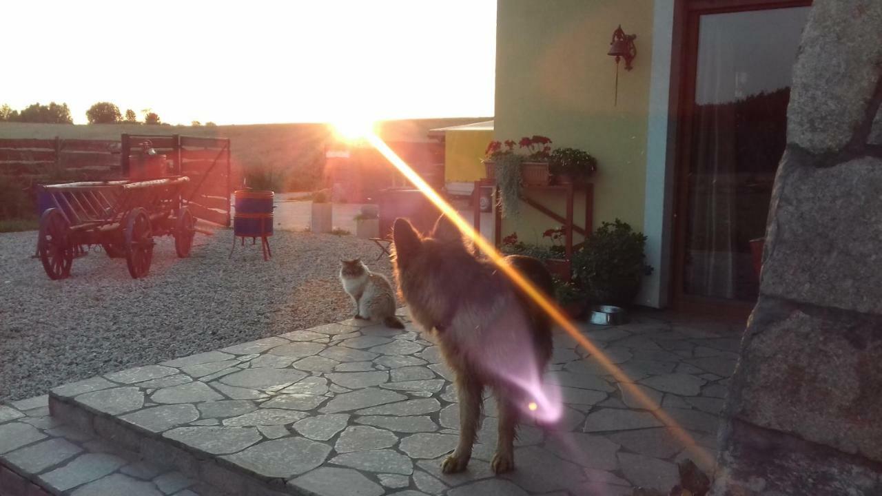 Holiday home Zagroda Warminska Pszczola