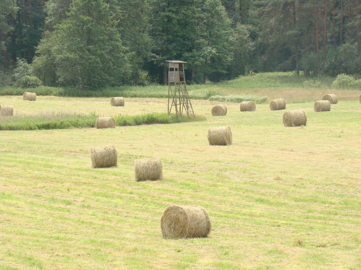 Zagroda Warminska Pszczola * Purda