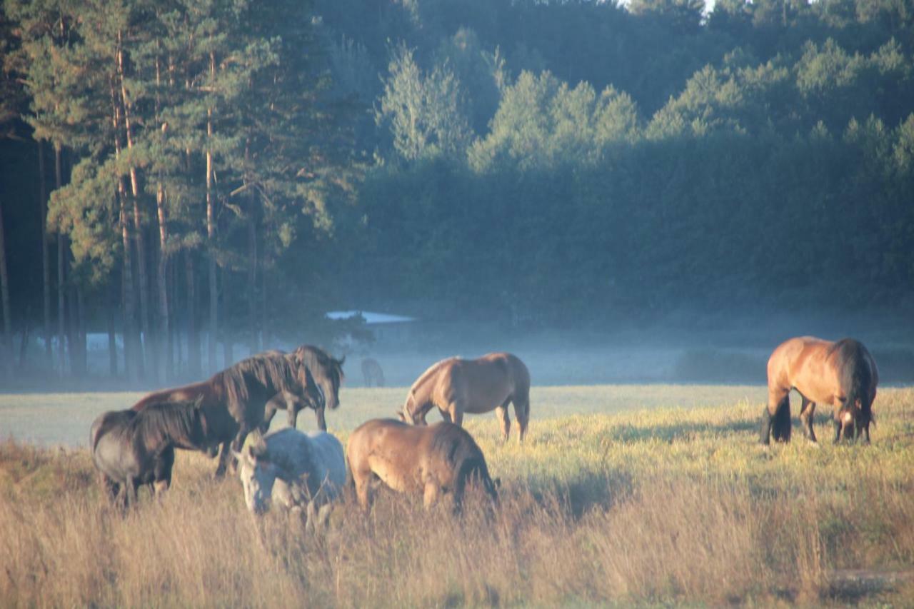 Zagroda Warminska Pszczola Holiday home Purda